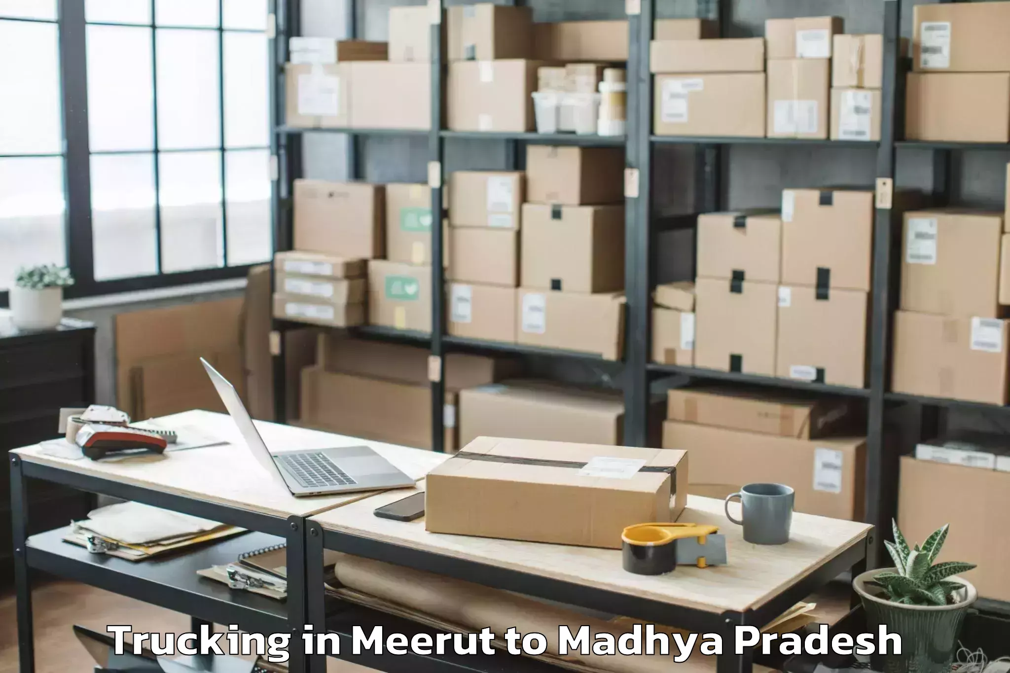 Easy Meerut to Madhyanchal Professional Unive Trucking Booking